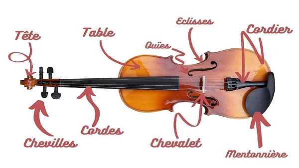 Parties du violon