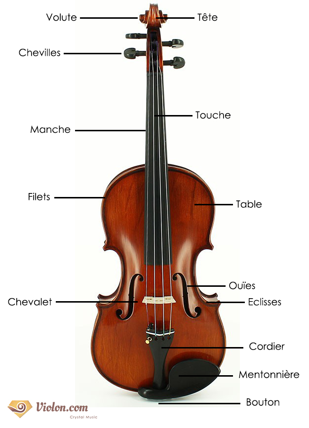 schéma violon