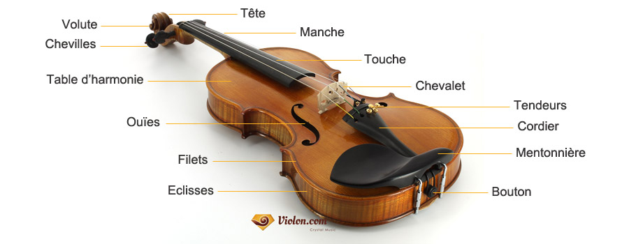 Composition du violon