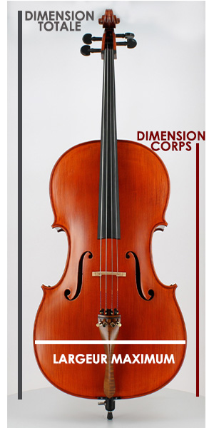 mesures du violoncelle