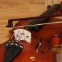Archet violon Ary France Initiation pernambouc 3/4