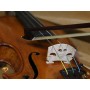 Archet violon Ary France Initiation pernambouc 4/4