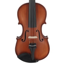 Violon Gliga Gems 1 4/4 5 cordes