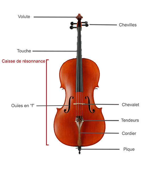 Description Violoncelle